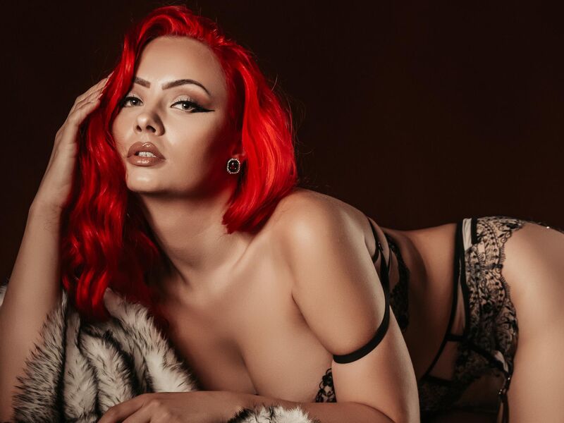 Discovering your way over  the site is quite easy, even considering  the proportions  of the get together